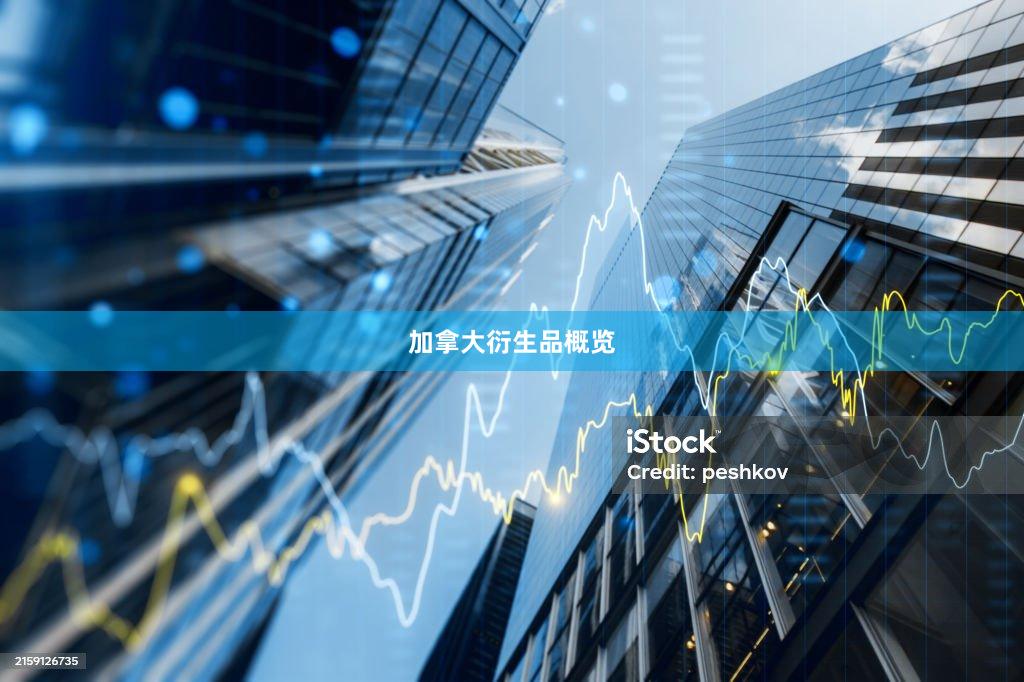 加拿大衍生品概览