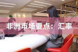 非洲市场要点：汇率