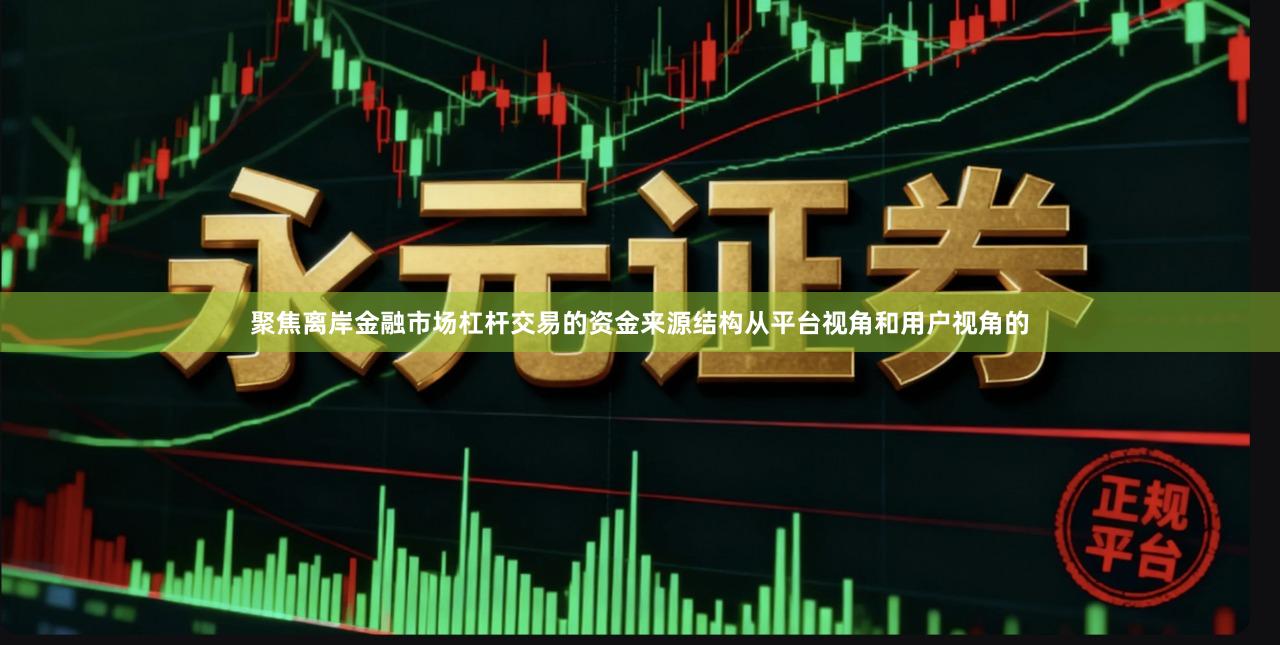 聚焦离岸金融市场杠杆交易的资金来源结构从平台视角和用户视角的